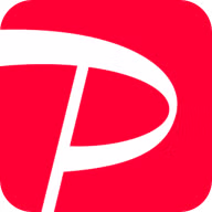PayPay India logo