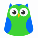 OwlSure logo