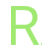 RAIS USA logo