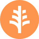 Endian AI logo