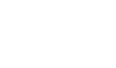 Yogirty Media logo