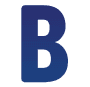 Blue Sky Fintech Pvt Ltd logo