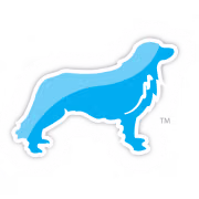 Distributed Solutions logo