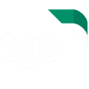 Team Geek Solutions logo
