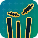 GullyCricket - Fantasy Cricket logo